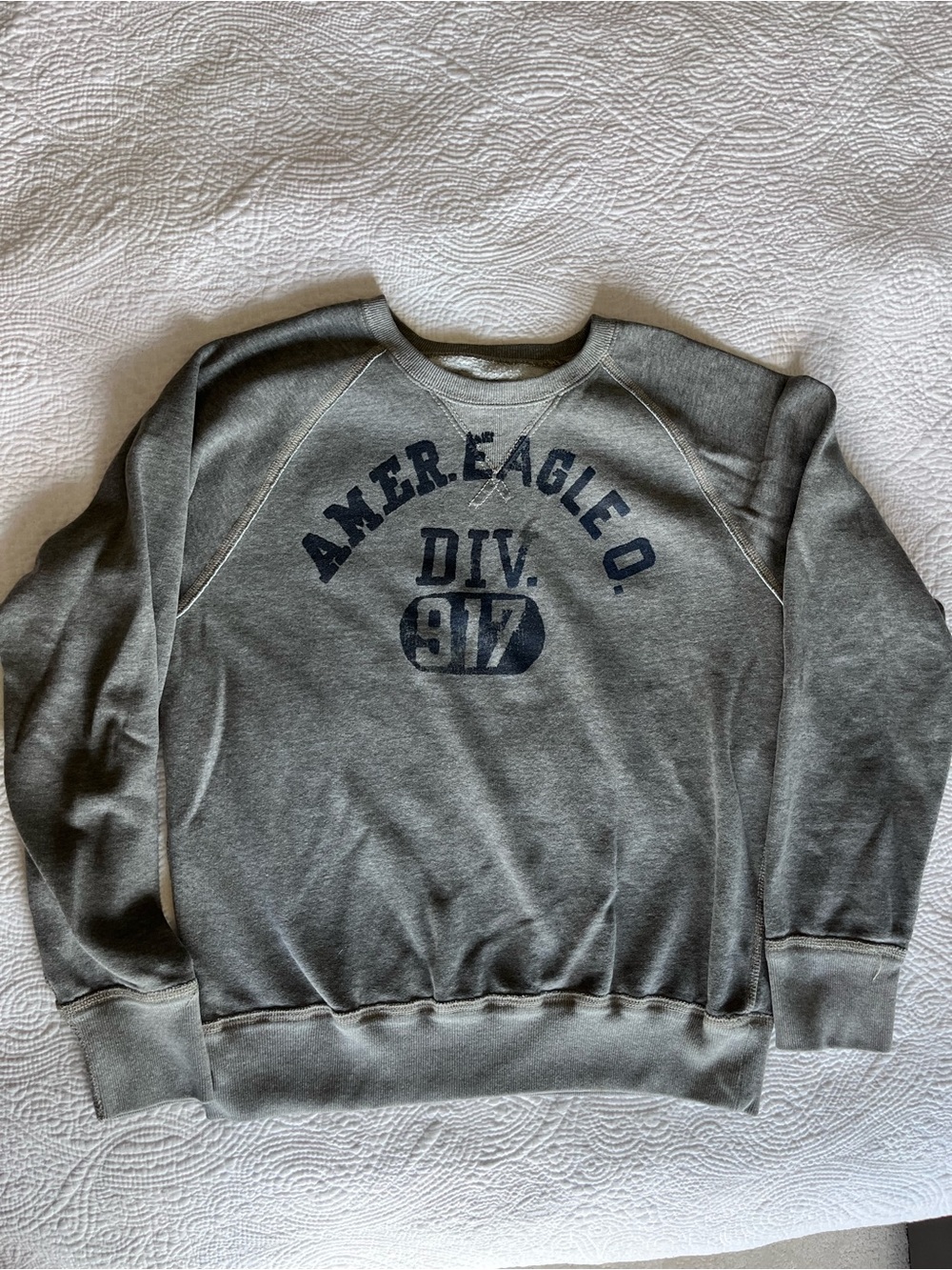 American Eagle Outfitters Gray Crewneck Sweatshirt with Navy Graphic